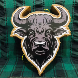 z6653367292208 9e2ccf8ffd918c19478f049b44e96708 bison head 2 Pinata đầu trâu bison